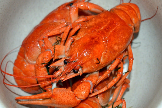 Boiled Crawfish By the Pound